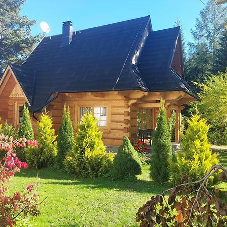Bialy Puch Villa Zakopane Kültér fotó