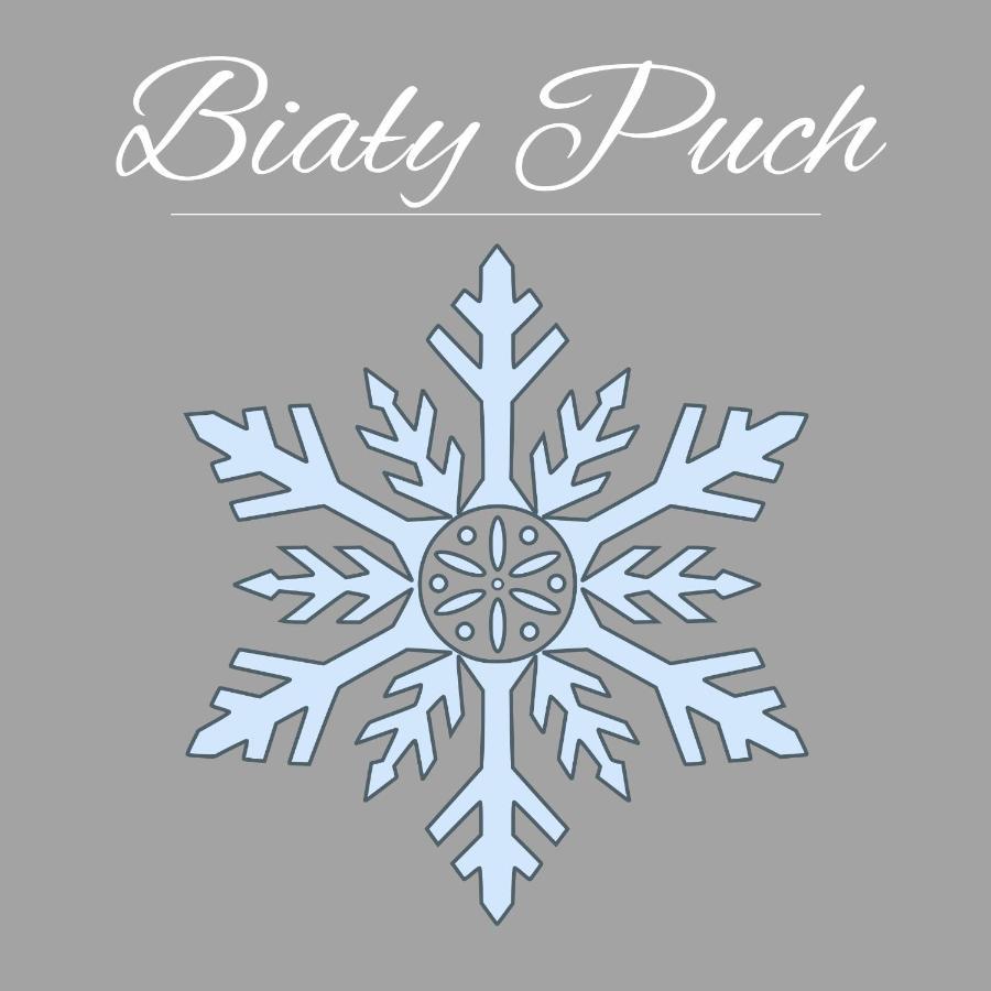 Bialy Puch Villa Zakopane Kültér fotó