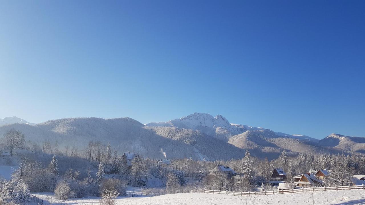 Bialy Puch Villa Zakopane Kültér fotó