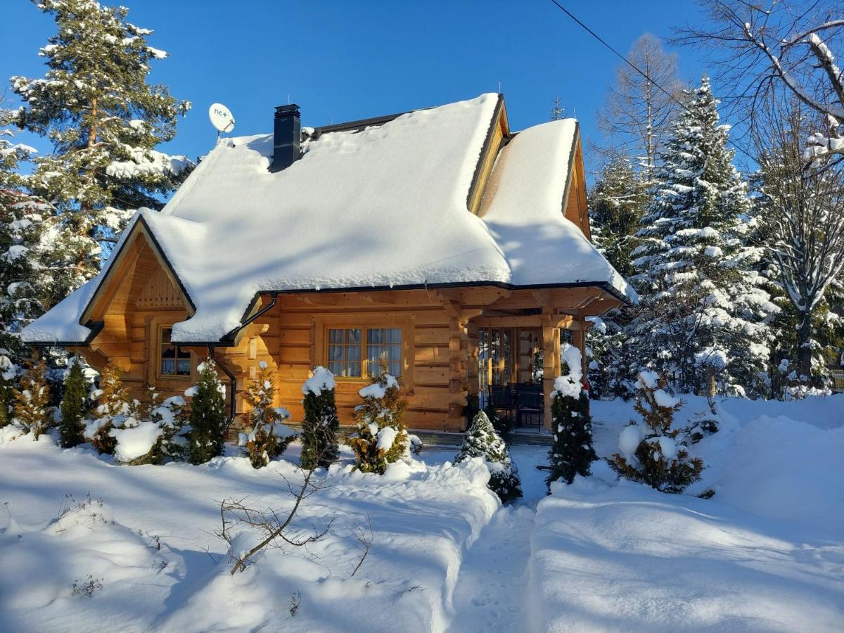 Bialy Puch Villa Zakopane Kültér fotó
