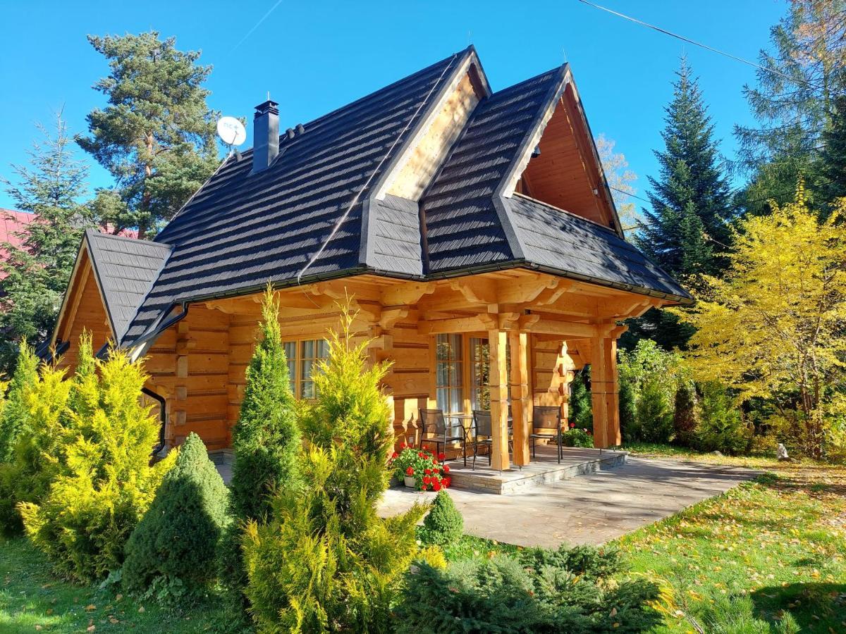Bialy Puch Villa Zakopane Kültér fotó