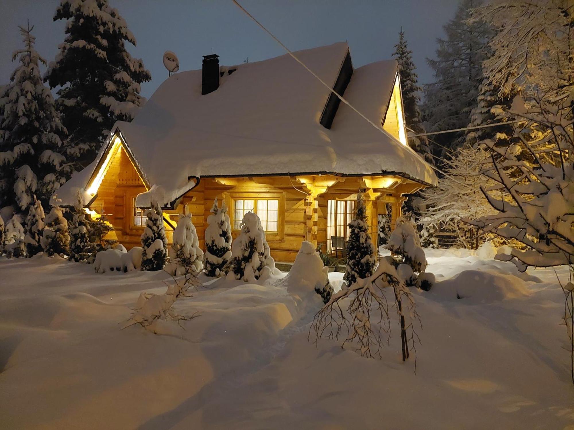 Bialy Puch Villa Zakopane Kültér fotó